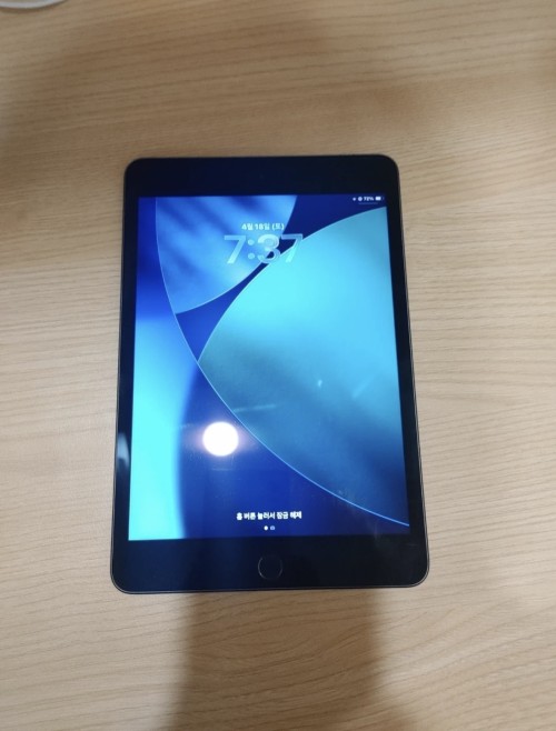 아이패드 미니5
